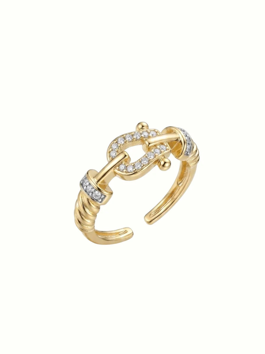 Shiny Anshor Ring